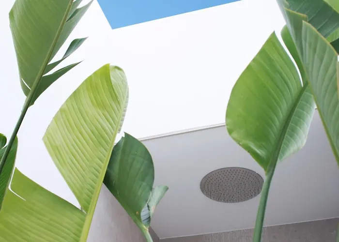 La Villuca By Aura Collection *